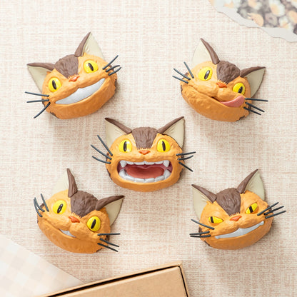 Kočkobus Face Magnet – Mystery Box