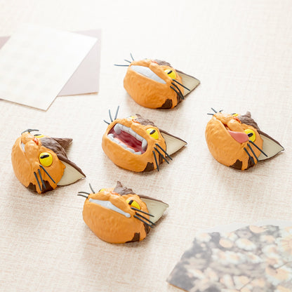 Kočkobus Face Magnet – Mystery Box