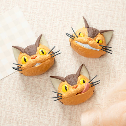 Kočkobus Face Magnet – Mystery Box