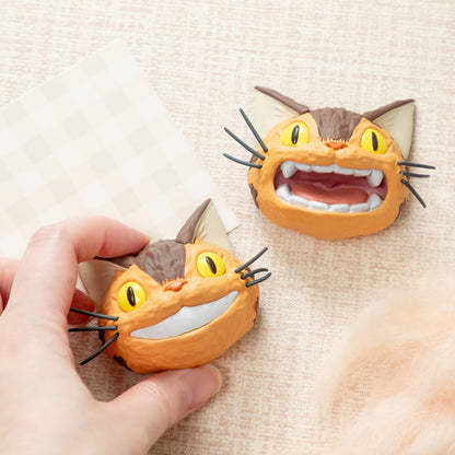 Kočkobus Face Magnet – Mystery Box