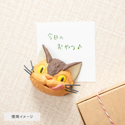 Kočkobus Face Magnet – Mystery Box