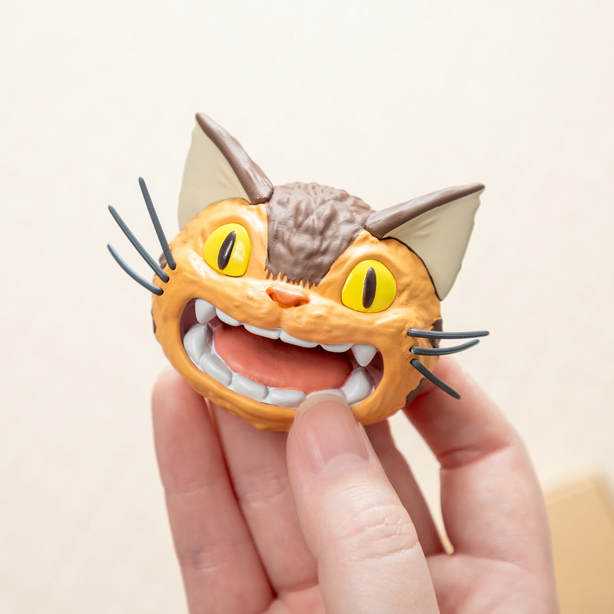 Kočkobus Face Magnet – Mystery Box